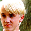 draco-003.jpg